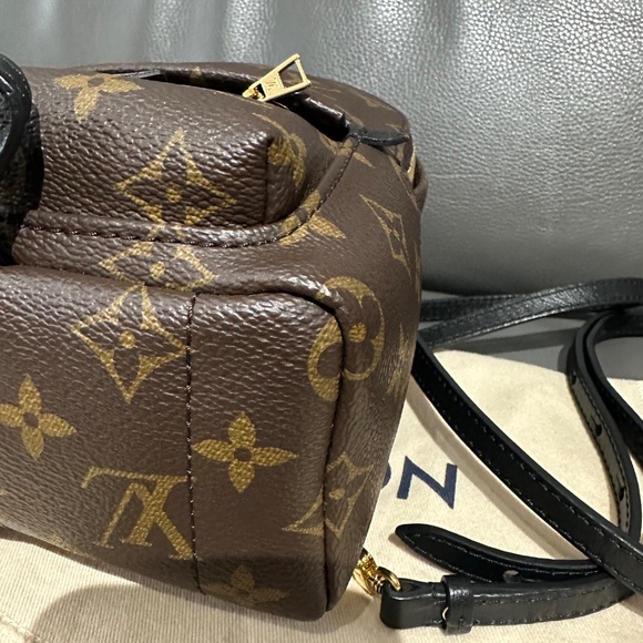 Louis Vuitton Palm Springs Mini - Picture 14 of 16